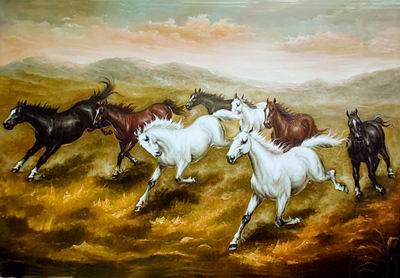 unknow artist Horses 08 china oil painting image